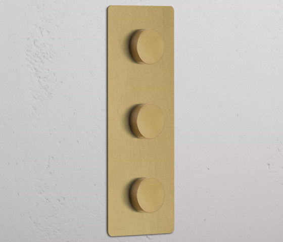 Drehdimmschalter 3x in vertikalem Dreifachrahmen | Drehdimmer | Corston Architectural Detail