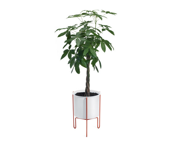 Meridius Planter | 62.5 cm | Vasi piante | Gaber