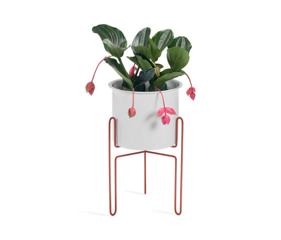 Meridius Planter | 79.5 cm | Plant pots | Gaber