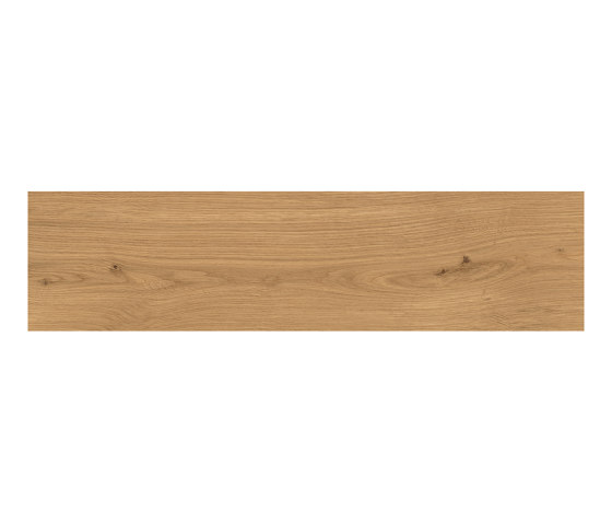 Log Amber Oak Forest 30x120 - 20mm | Ceramic tiles | Atlas Concorde