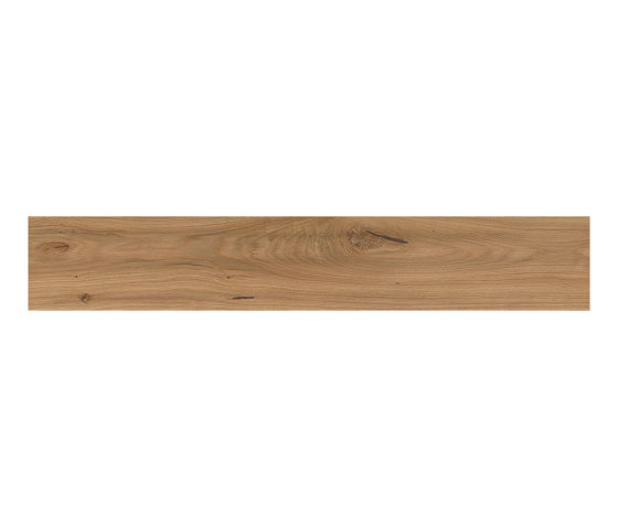 Log Deep Oak Forest 20x180 | Carrelage céramique | Atlas Concorde