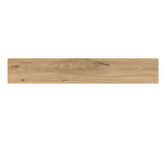 Log Icon Oak Forest 20x180 | Ceramic tiles | Atlas Concorde