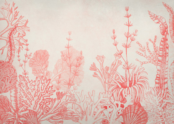 Tresors Marins Coral | Wall coverings / wallpapers | k'moor