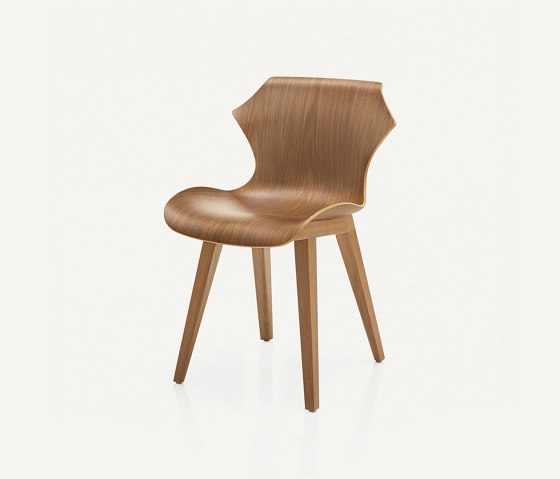 Petal Chair | Sillas | BassamFellows