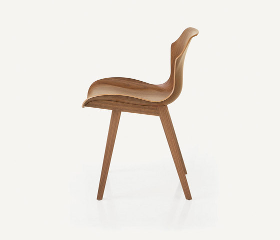 Petal Chair | Sillas | BassamFellows