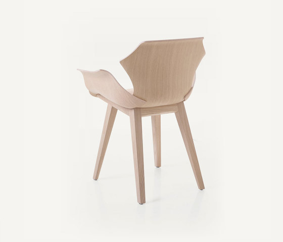 Petal Chair | Sillas | BassamFellows