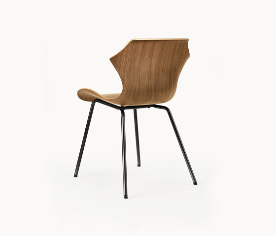 Petal Chair Metal Base | Sillas | BassamFellows