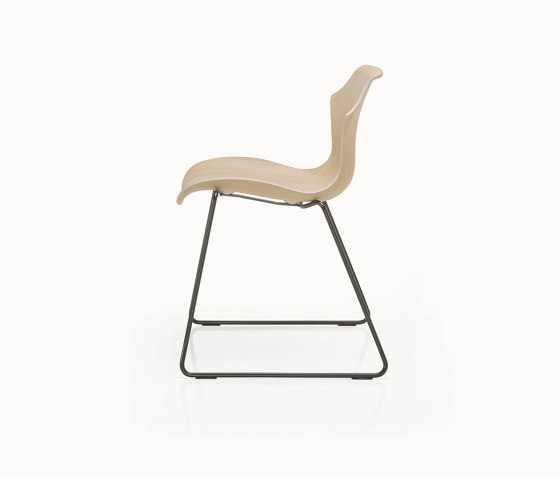 Petal Chair Sled Base | Sillas | BassamFellows