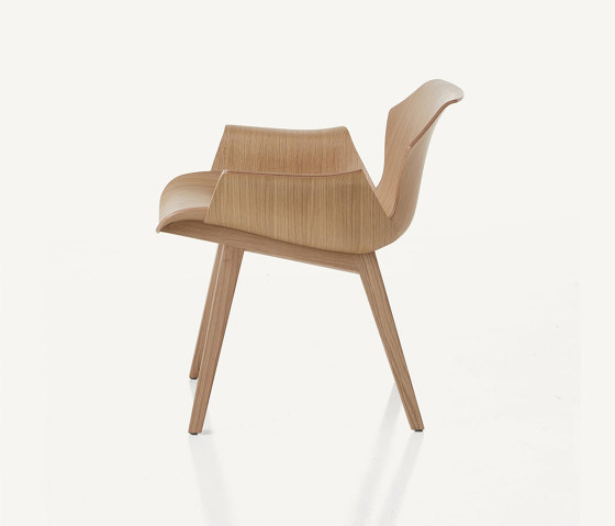 Petal Lounge Chair | Sillones | BassamFellows