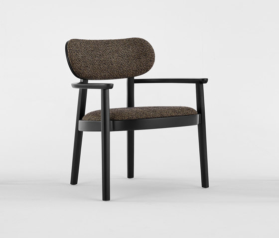 119 PF | Armchairs | Gebrüder T 1819