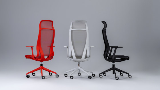 D-Chair  Executive Chair | Sillas de oficina | Narbutas