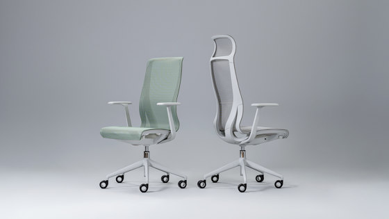 D-Chair  Executive Chair | Sillas de oficina | Narbutas