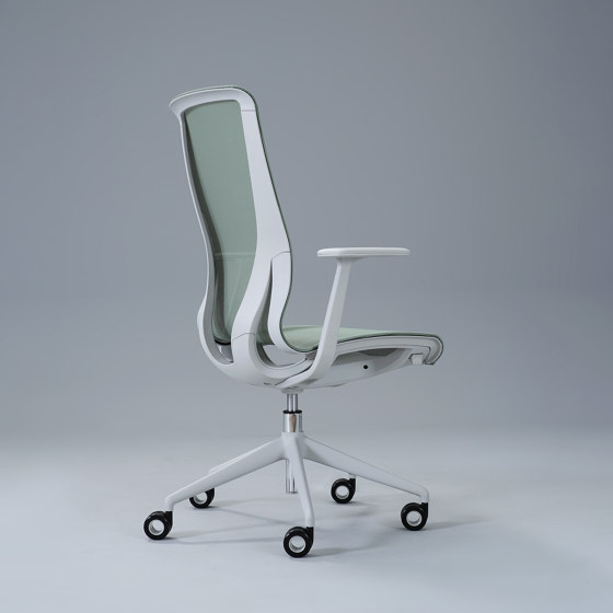 D-Chair Task Chair | Sedie ufficio | Narbutas