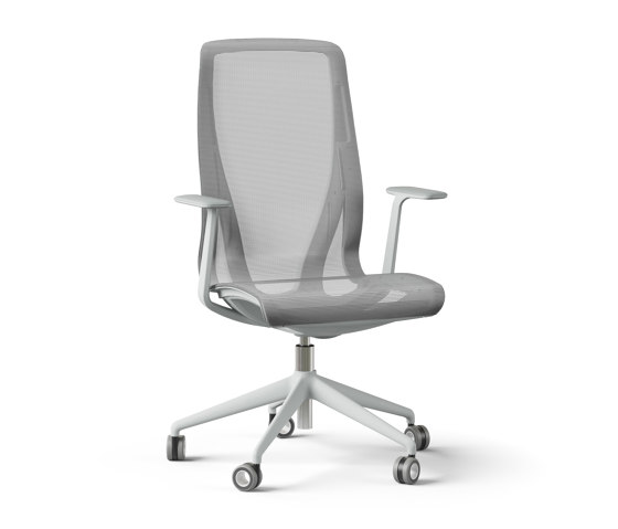 D-Chair Task Chair | Sedie ufficio | Narbutas