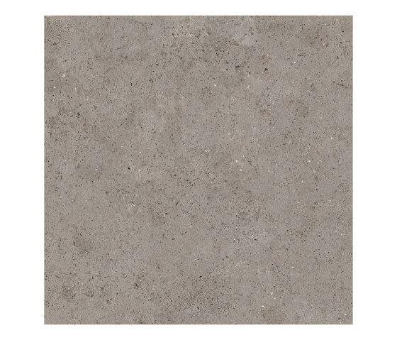 Greige | Carrelage céramique | Ceramiche Supergres