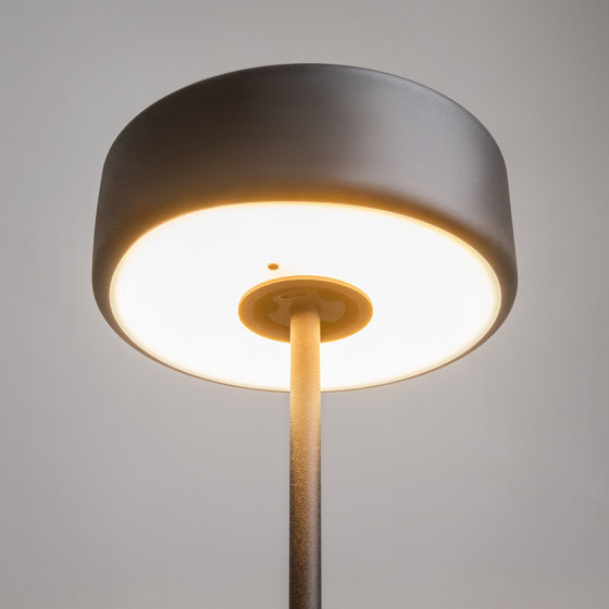 Battery lamp AI Collaboration | Table lights | Maytoni