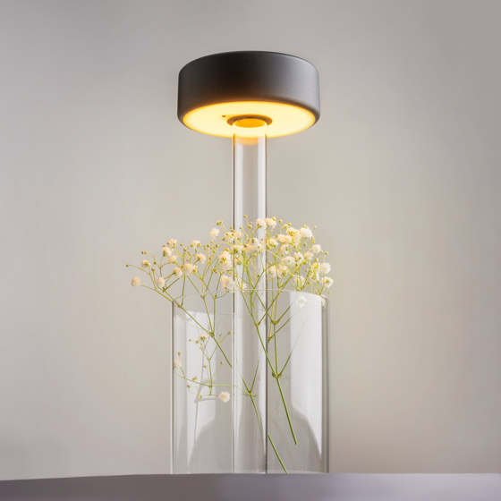 Battery lamp AI Collaboration | Table lights | Maytoni