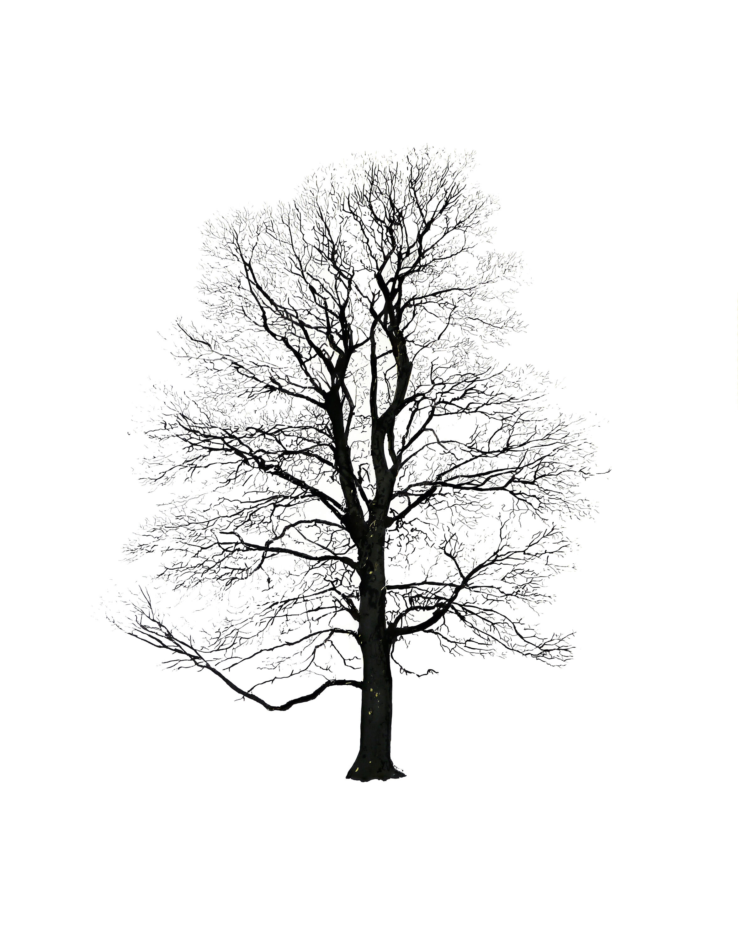 Tree Winter - High quality designer products
