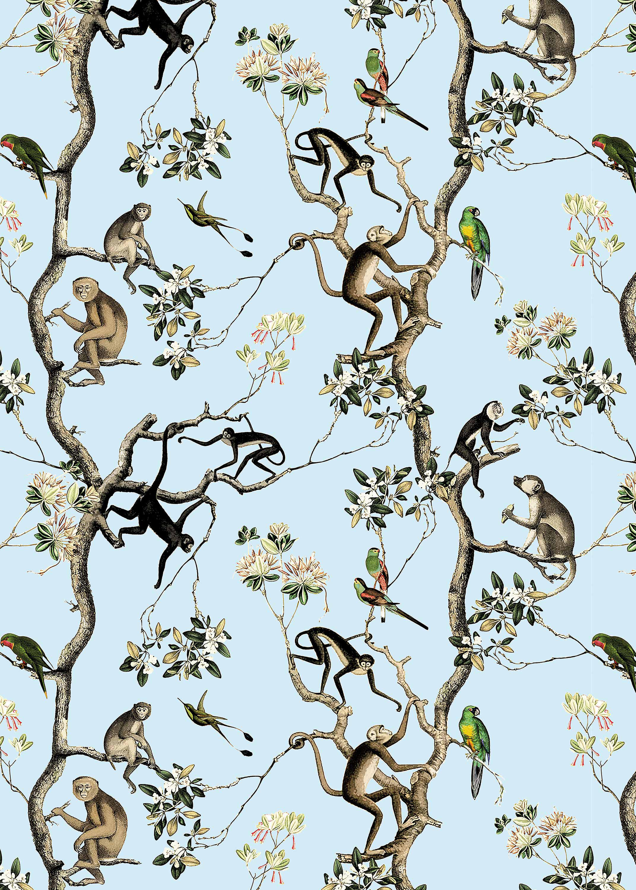 Aggregate more than 72 drunk monkey wallpaper latest  incdgdbentre