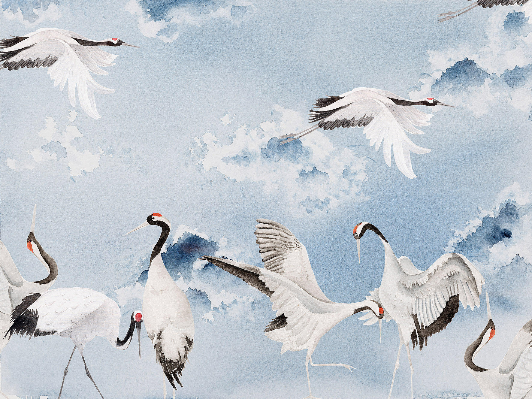 DANCING CRANES - Wall coverings / wallpapers from WallPepper | Architonic