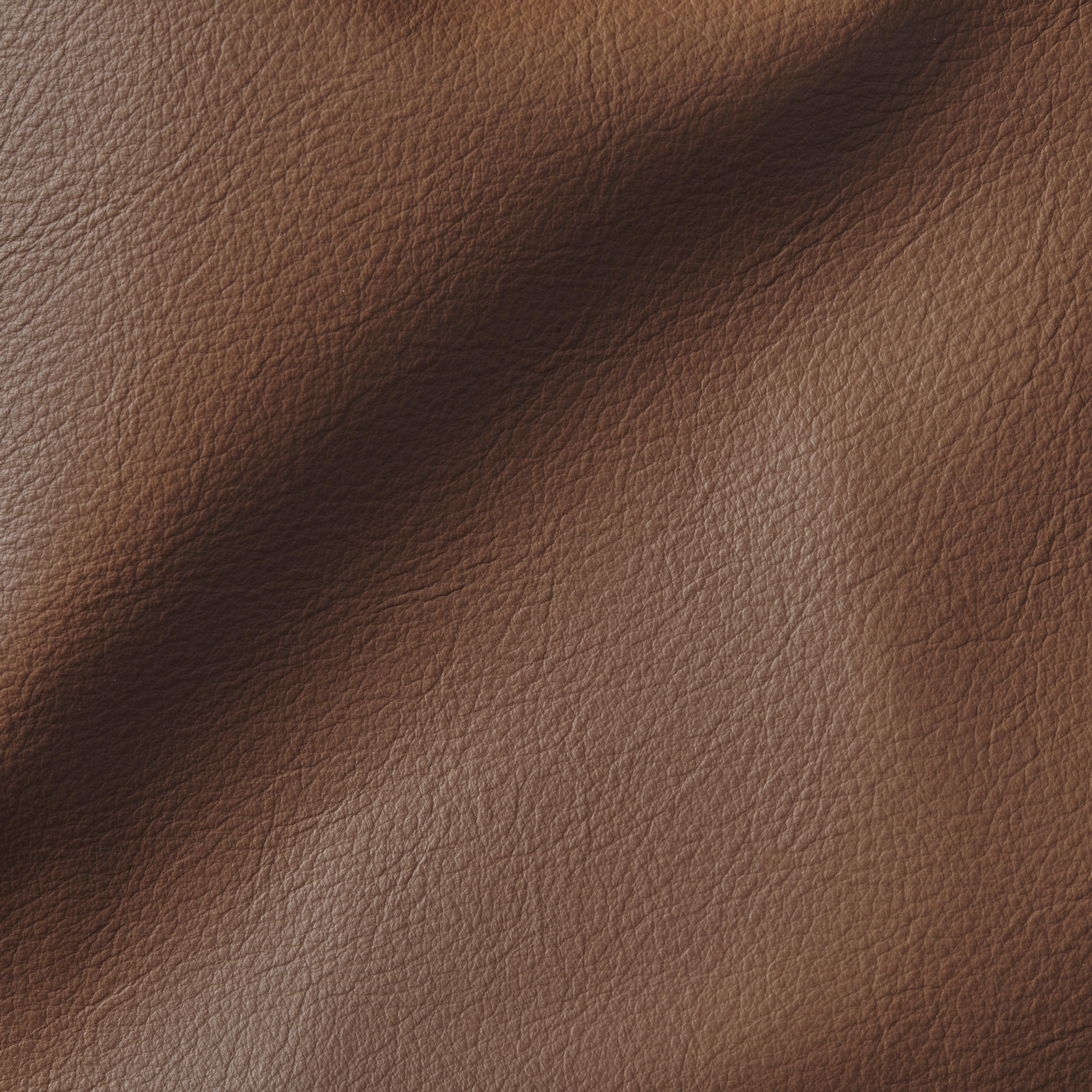 showbiz cognac leather