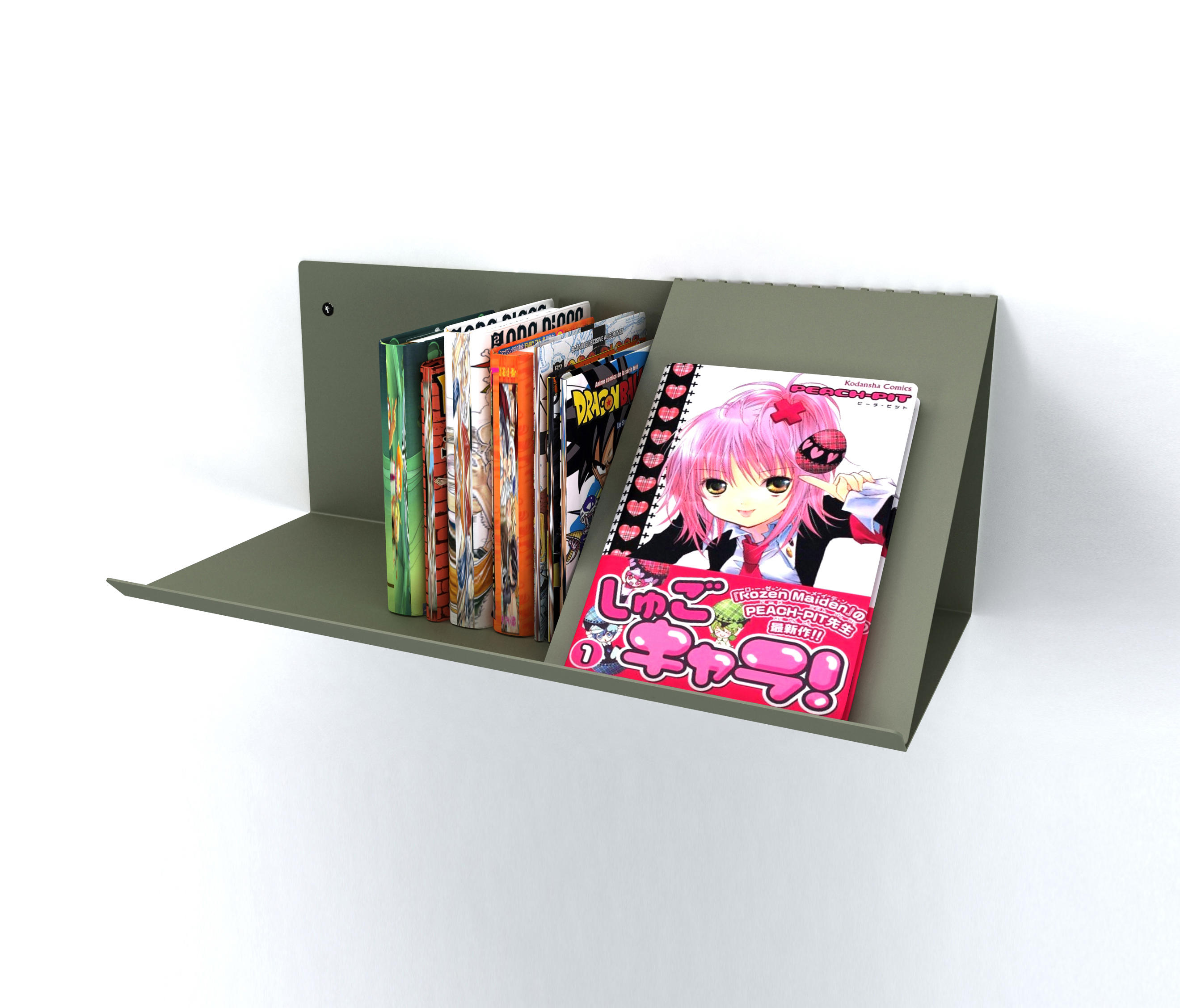 Manga bookshelf -  France