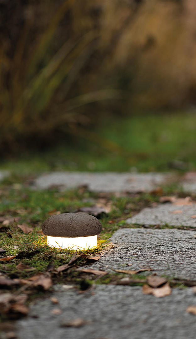 Small Mushroom Terra Light