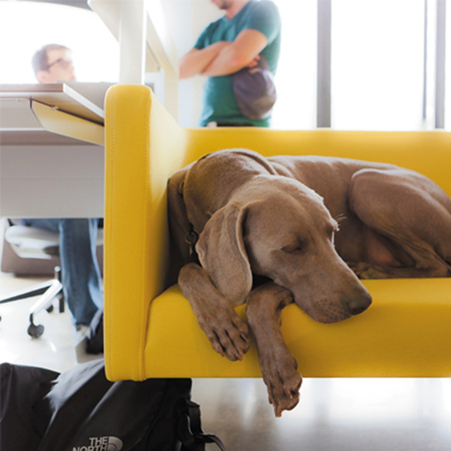 The tables are turning: Steelcase Bivi | News
