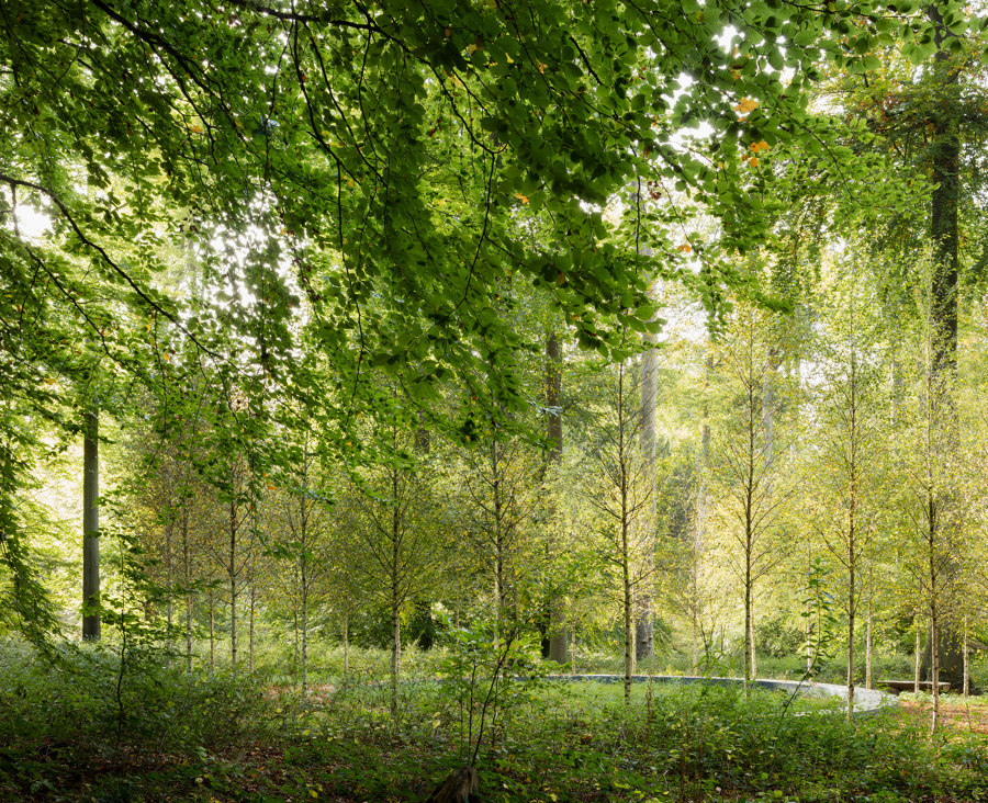 Towards a New Generation of Landscape Architects: Bas Smets | Novita del settore