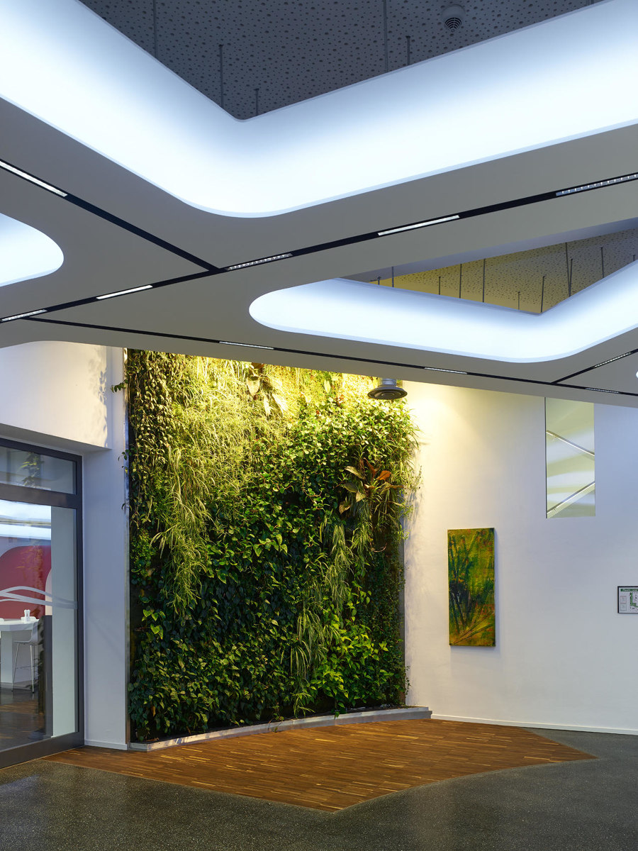 Light work: illuminating office spaces | Novedades