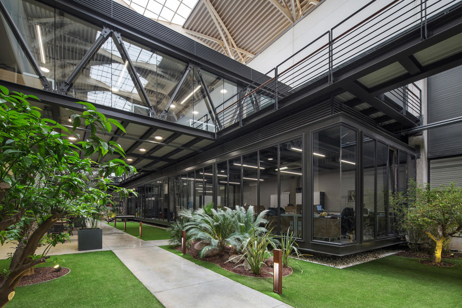 The benefits of green office spaces | Nouveautés