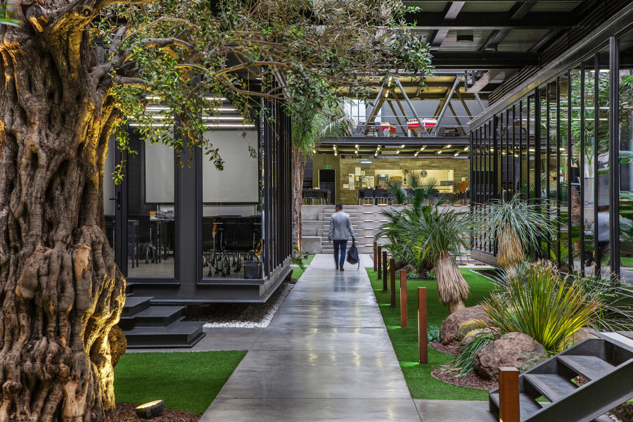 The benefits of green office spaces | News