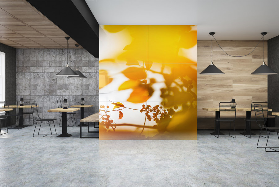 Art printing on glass from Glastrix | Novedades