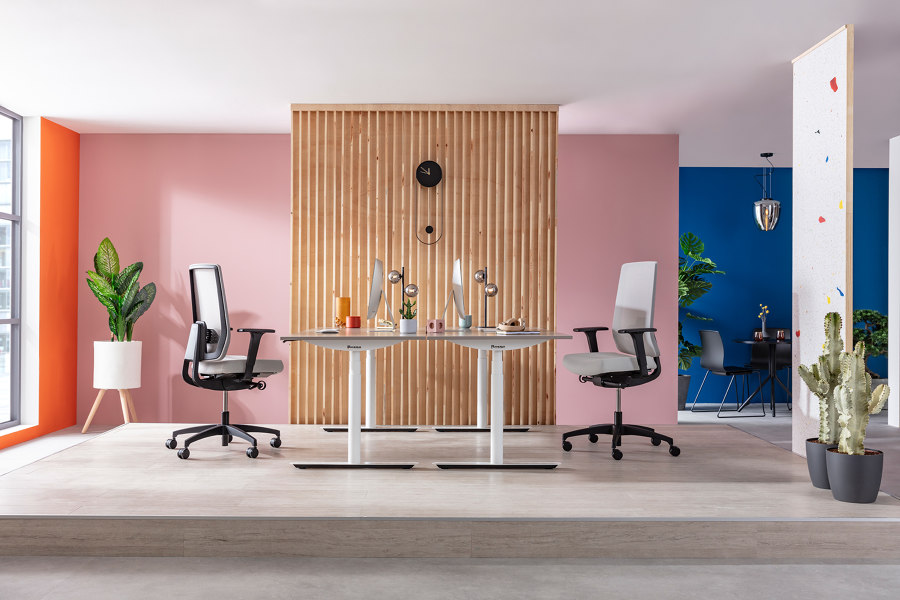 Dauphin's new office chair Indeed encourages correct sitting in the workplace | News