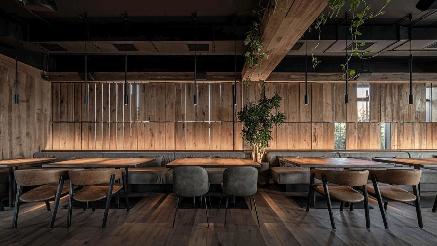 Space and materiality in new restaurant design | News