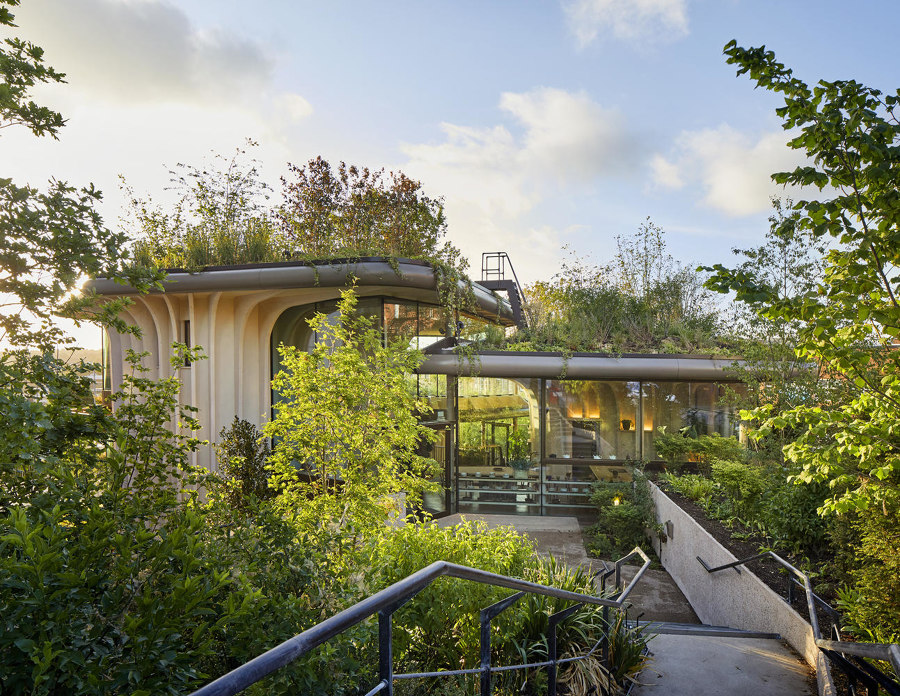 What is biophilic design, and can it save the planet? | News