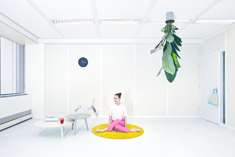 Dataflex: working for an ergonomic and sustainable future | Novedades