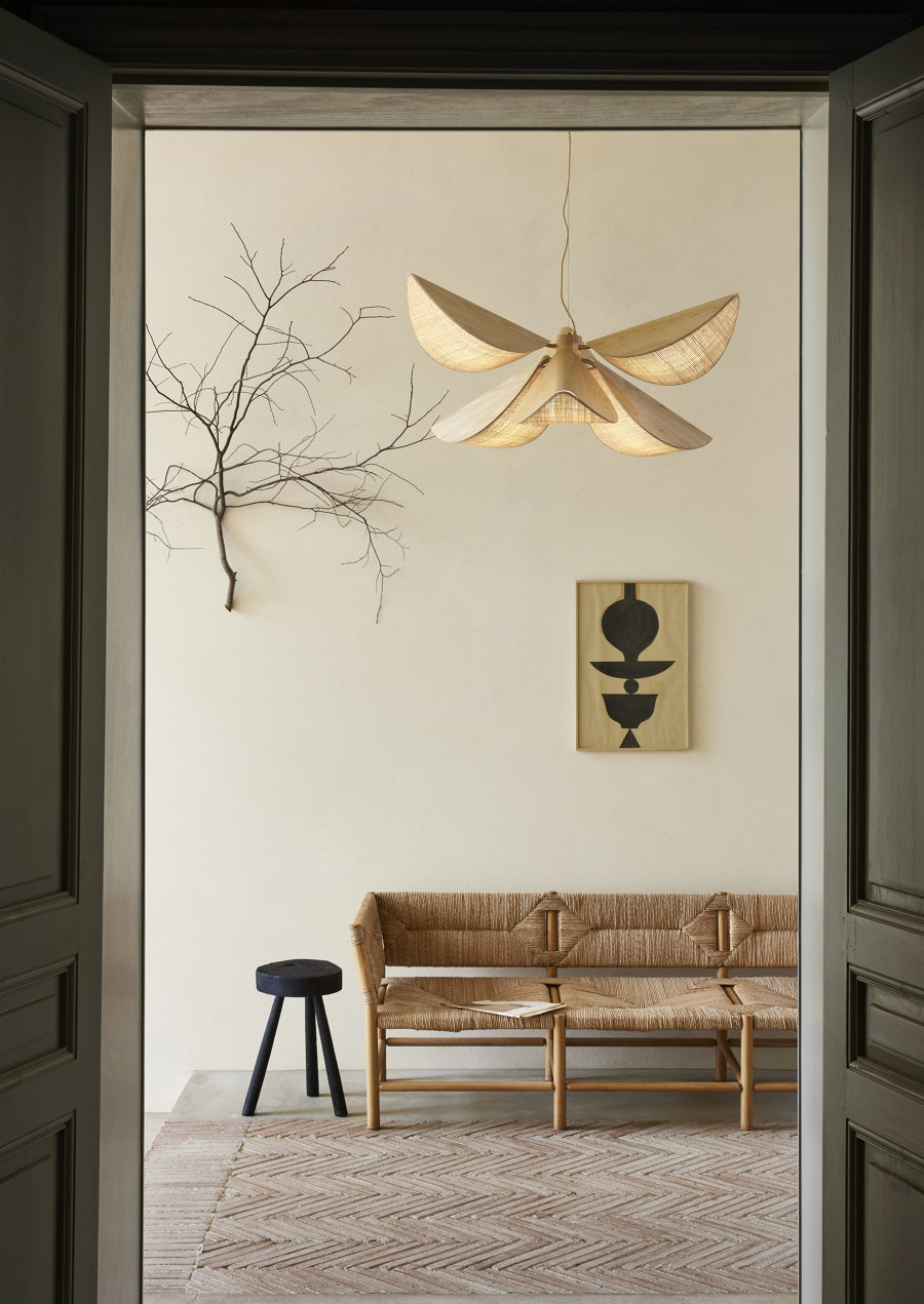 A bloom of light: Forestier and Jette Scheib illuminate organic forms | Nouveautés