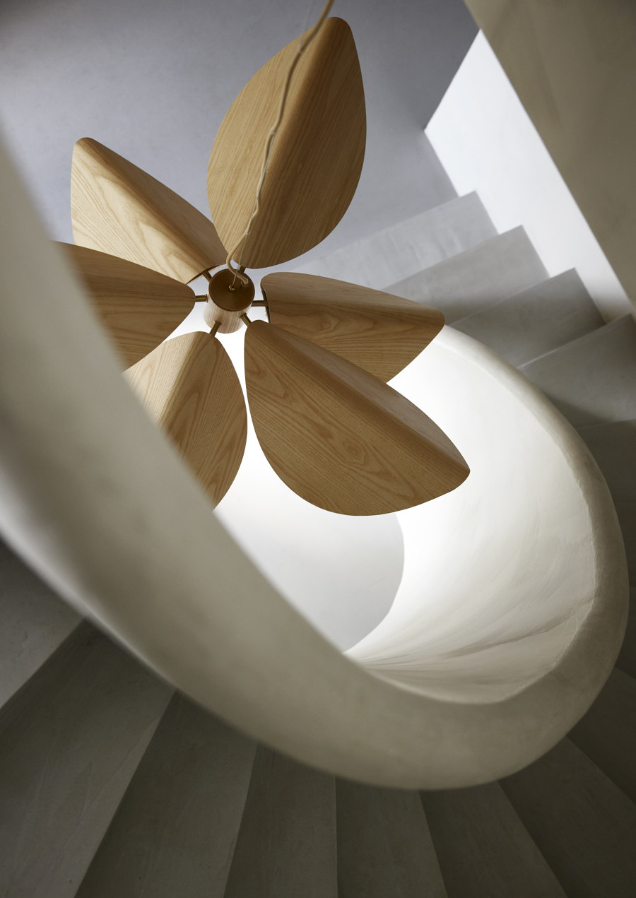 A bloom of light: Forestier and Jette Scheib illuminate organic forms | News