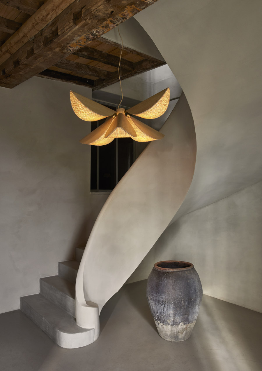 A bloom of light: Forestier and Jette Scheib illuminate organic forms | News