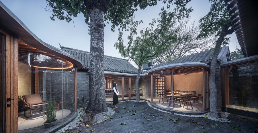 Residential courtyards that invite nature inside through glass | News