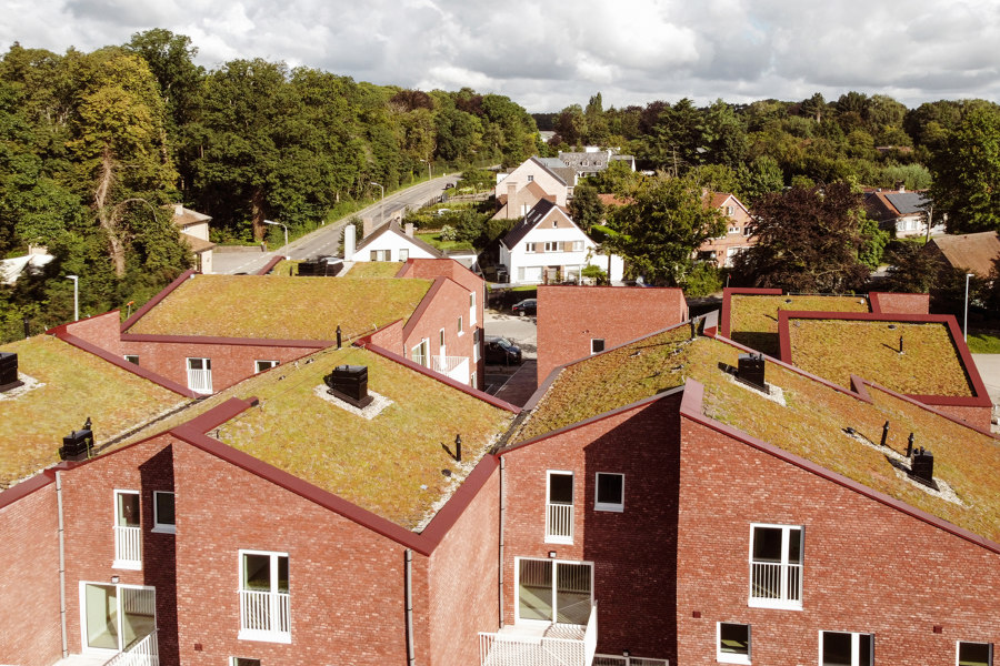 The growing advantages of green roofs: bringing buildings to life | Novedades
