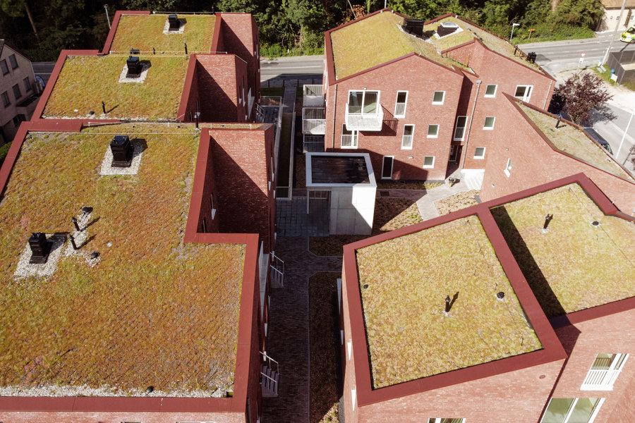 The growing advantages of green roofs: bringing buildings to life | News