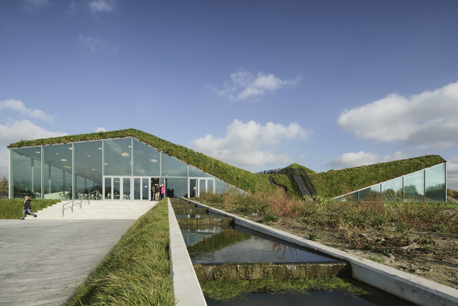 The growing advantages of green roofs: bringing buildings to life | News