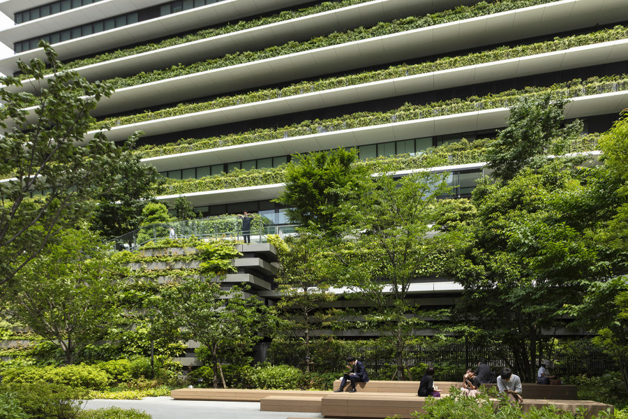 The growing advantages of green roofs: bringing buildings to life | Novità