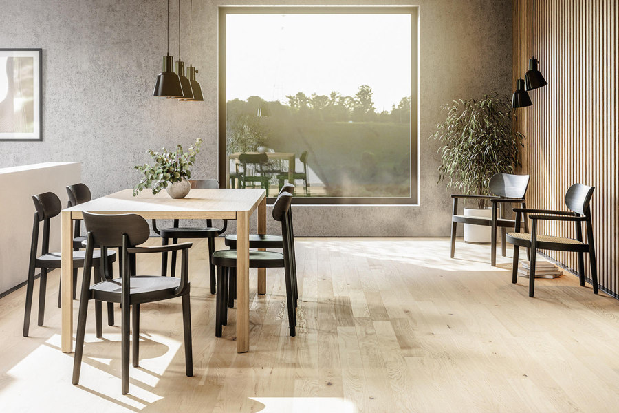 Dining chairs for all interiors, occasions and personalities | Novità