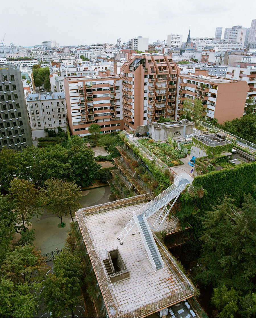 Urban rewilding: the fight is on to retake green space | Novedades