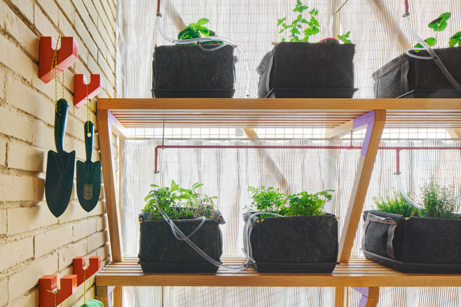 How to use vertical farming for sustainable living | Novità