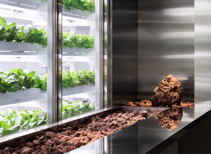 How to use vertical farming for sustainable living | Aktuelles