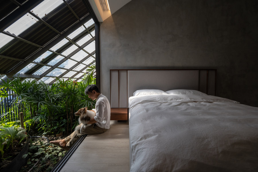 Inter-species residences: houses for plants, animals and humans | News